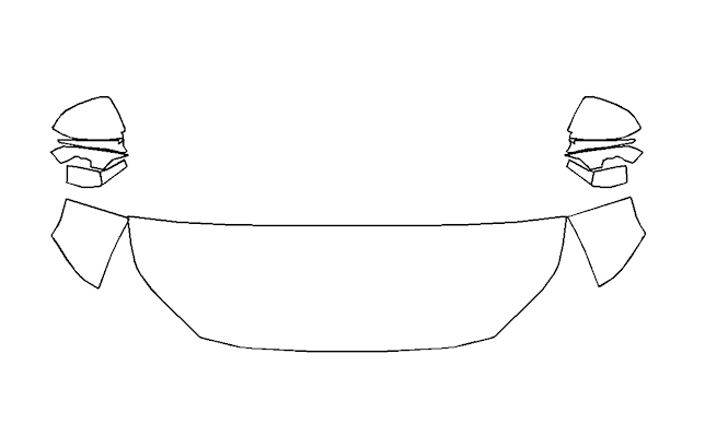 Partial Hood Fender and Mirror Kit | LEXUS TX350 2024