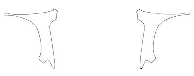 Full Fender and Mirror PPF Kit | RAM 1500 REBEL 2026