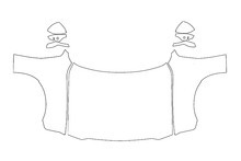 Full Hood & Fender + Mirror PPF Kit | DODGE CHARGER DAYTONA 2025