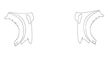 Full Fender and Mirror PPF Kit | FORD F-150 RAPTOR 2026