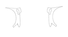 Full Fender and Mirror PPF Kit | FORD F-150 RAPTOR 2026