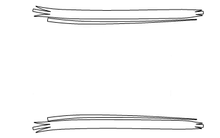 Full Roof PPF Kit | HYUNDAI TUCSON 2023