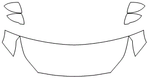 Hood & Fender + Mirrors Kit | KIA FORTE 2020