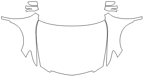 Full Hood & Fender + Mirror Kit | ACURA RLX 2017