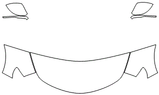 Partial Hood Fender & Mirror Kit | ALFA ROMEO STELVIO 2018