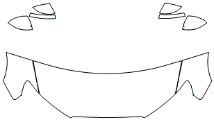 Partial Hood Fender & Mirror Kit | AUDI RS3 2019