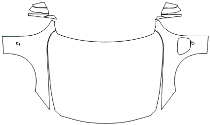 Full Hood & Fender + Mirror Kit | BMW 3 SERIES SEDAN e330 LUXURY LINE 2017