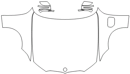 Full Hood & Fender + Mirror Kit | BMW 3 SERIES SEDAN e330 SPORT LINE 2019