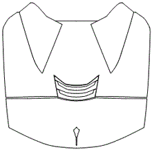 Engine Cover Kit | CHEVROLET CORVETTE STINGRAY CONVERTIBLE 2021