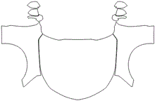 Full Hood & Fender + Mirror Kit | CHEVROLET CAMARO LT 2017