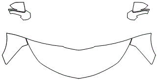 Standard Hood Fender & Mirror | CHEVROLET CAMARO SS 2019