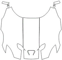 Full Hood and Mirror Kit | Dodge Viper GTS 2015