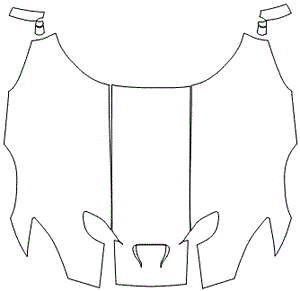 Full Hood and Mirror Kit | Dodge Viper GTS 2015