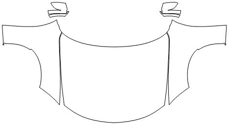 Full Hood & Fender + Mirror Kit | DODGE CHARGER SXT 2020