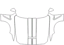 Full Hood & Fender + Mirror Kit | FORD MUSTANG SHELBY GT350R 2019