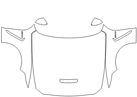 Full Hood & Fender + Mirror Kit | FORD MUSTANG SHELBY GT350 2019