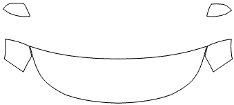 Standard Hood Fender & Mirrors | FORD EXPLORER PLATINUM 2019