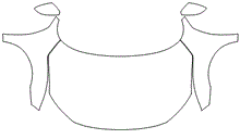 Full Hood & Fender + Mirror Kit | HONDA CIVIC HATCHBACK SPORT TOURING 2020