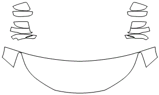 Standard Hood Fender & Mirror Kit | HONDA ACCORD SEDAN SPORT 2016