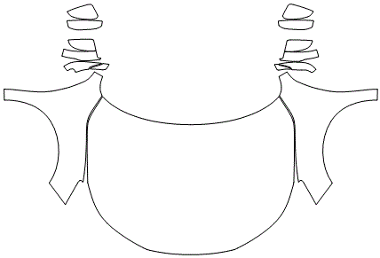 Full Hood & Fender + Mirror Kit | HONDA ACCORD SEDAN SPORT 2016