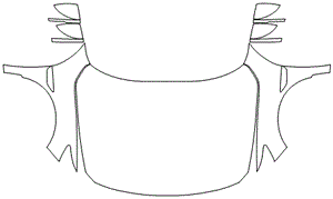 Full Hood & Fender + Mirror Kit | HONDA ACCORD SEDAN EX 2020