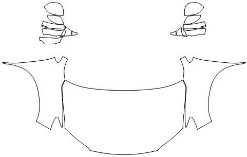 Full Hood & Fender + Mirror Kit | HONDA RIDGELINE 2019