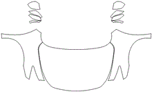 Full Hood & Fender + Mirror | INFINITI QX60 2018