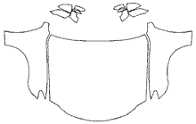 Full Hood + Fender and Mirror Kit | LEXUS RC 2022