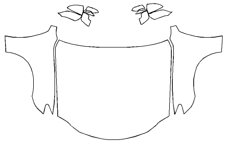 Full Hood + Fender and Mirror Kit | LEXUS RC 2022