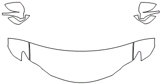 Standard Hood Fender & Mirror Kit | LEXUS RC 2016