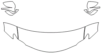 Standard Hood Fender & Mirror Kit | LEXUS RC-F 2019