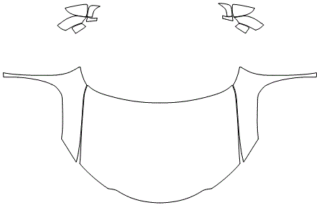 Full Hood & Fender + Mirrors | Lexus UX 250h BASE 2021