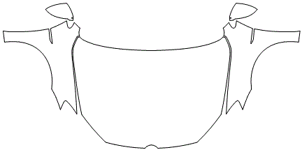 Full Hood & Fender + Mirror Kit | VOLKSWAGEN GOLF GTI 2018